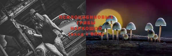 таблы Горняк