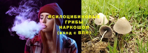 таблы Горняк